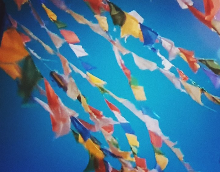 Sueña y Vuela entre colores