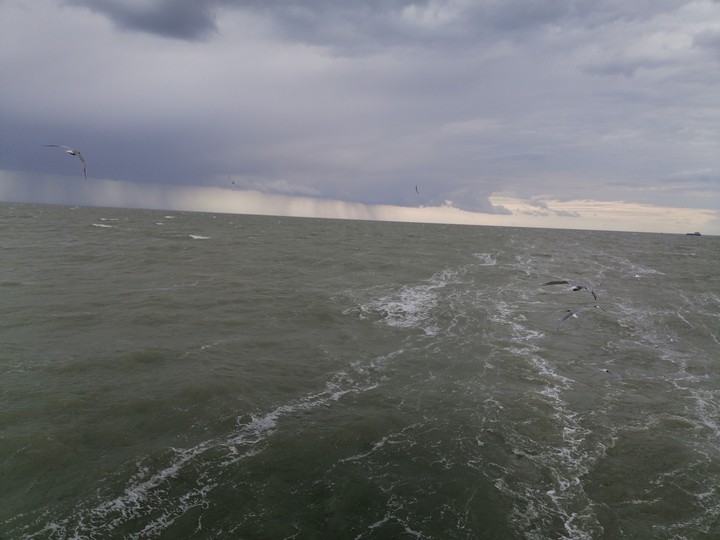 Azov sea