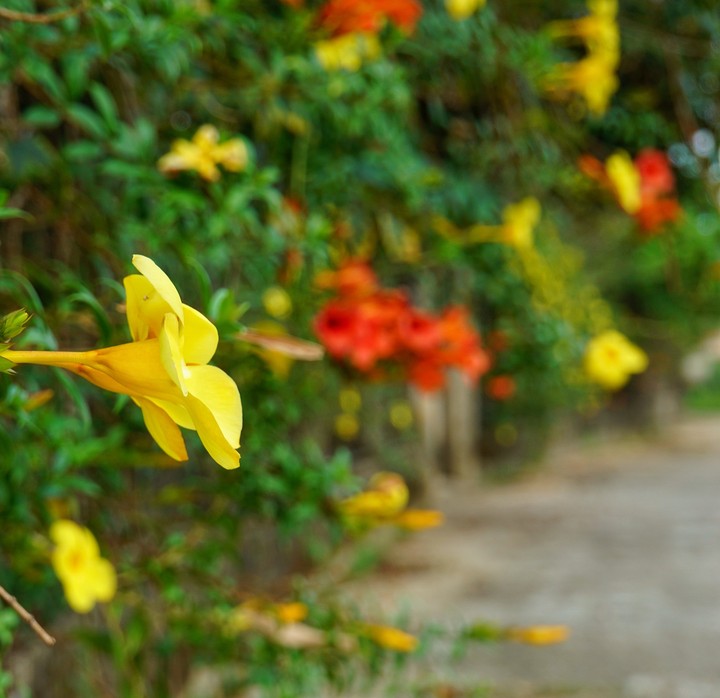 flowers on the way