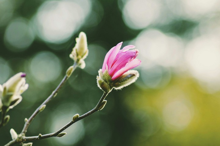 springtime