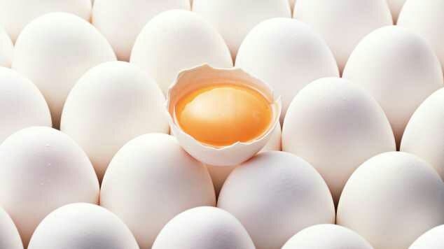 eggs