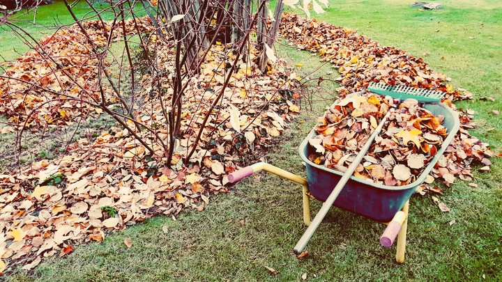 Autumn
