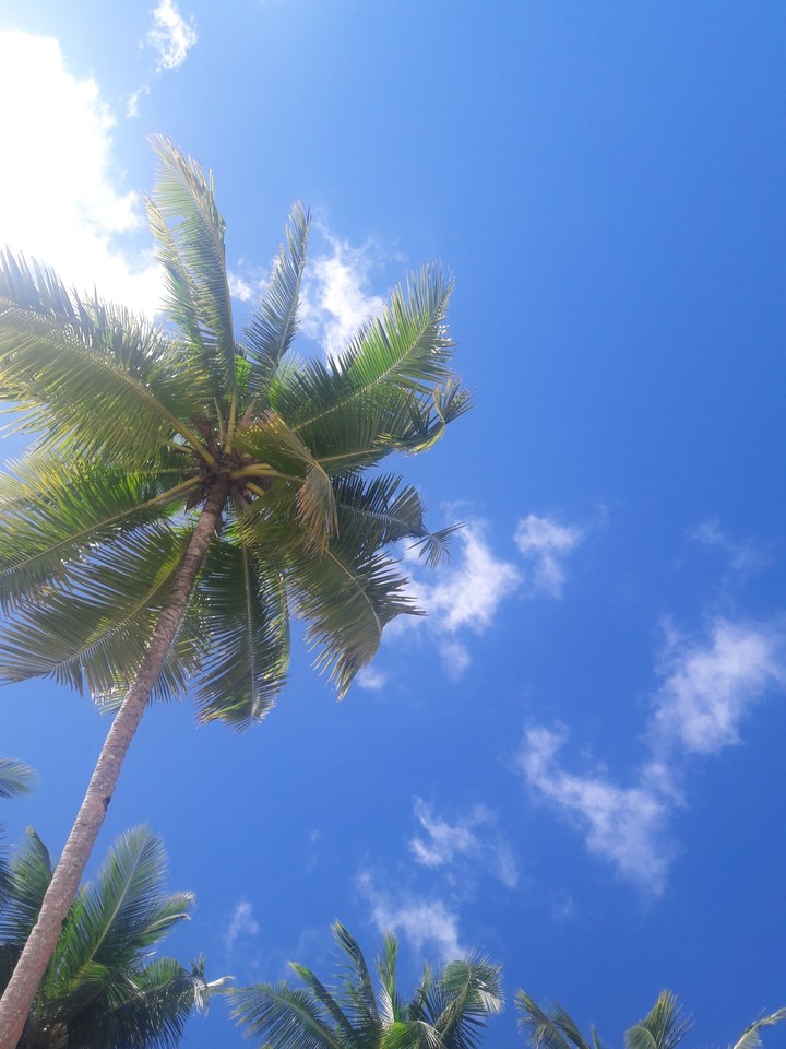 Happy Summer