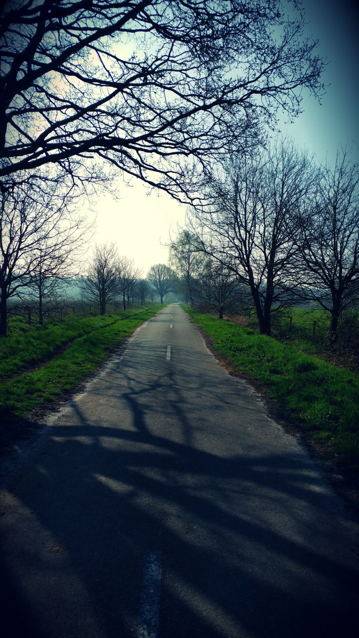 Lonely road