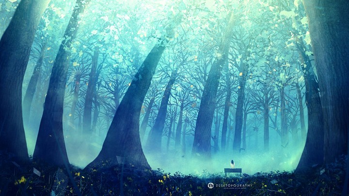 Forest