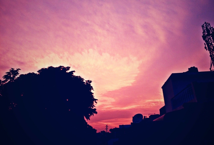 Sky