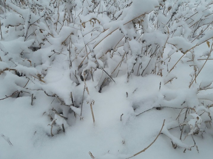 winter finally