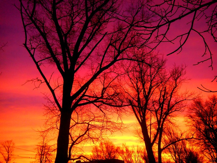 December Sunrise