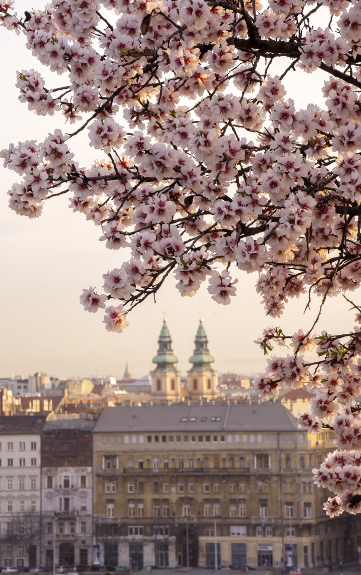 Budapest