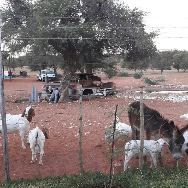 Farming