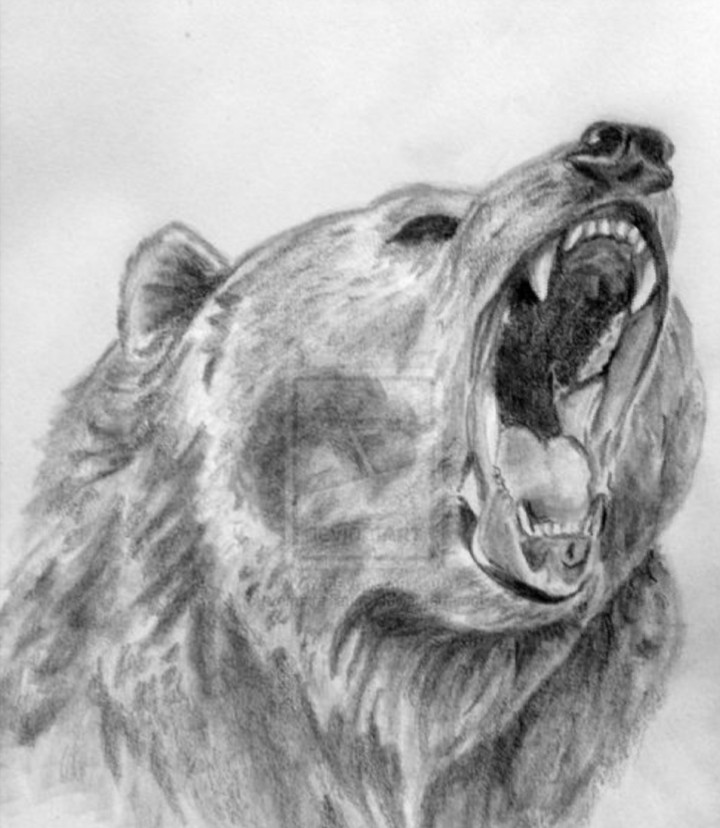 dessin