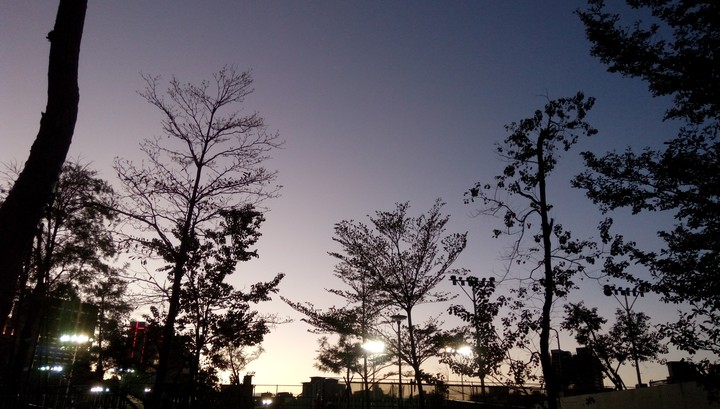 night
