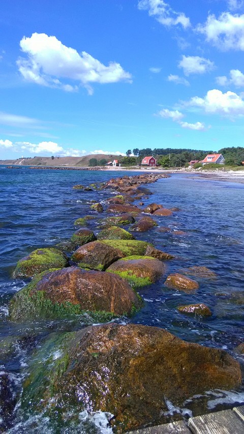 Sea