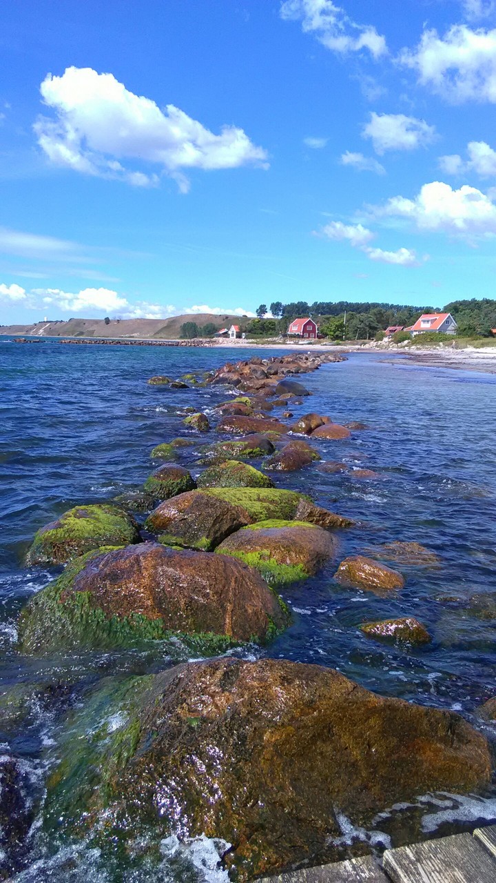 Sea