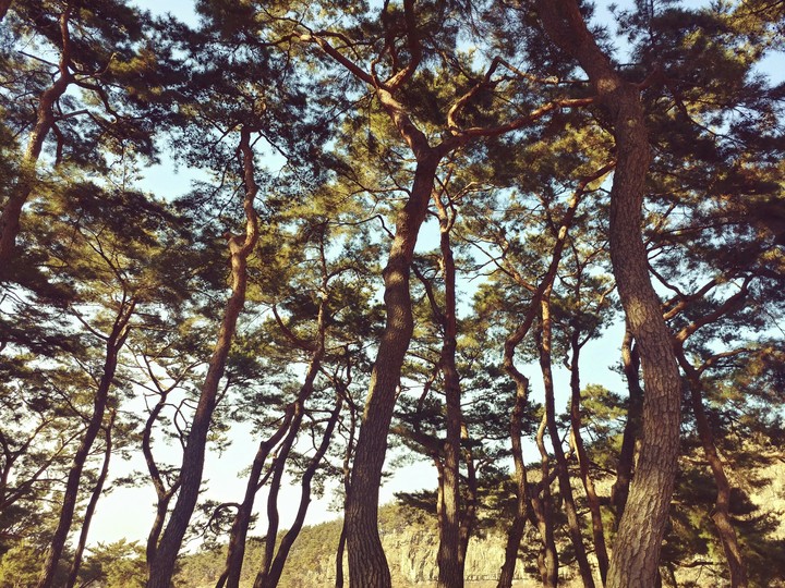 안동 하회마을