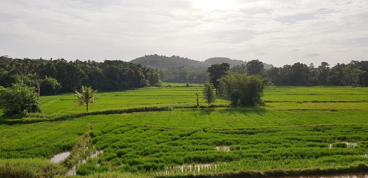 Beauty of Sri Lanka