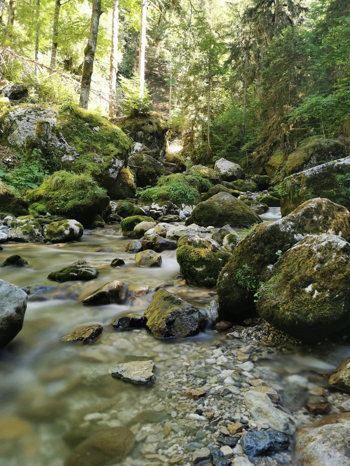 Nature sauvage