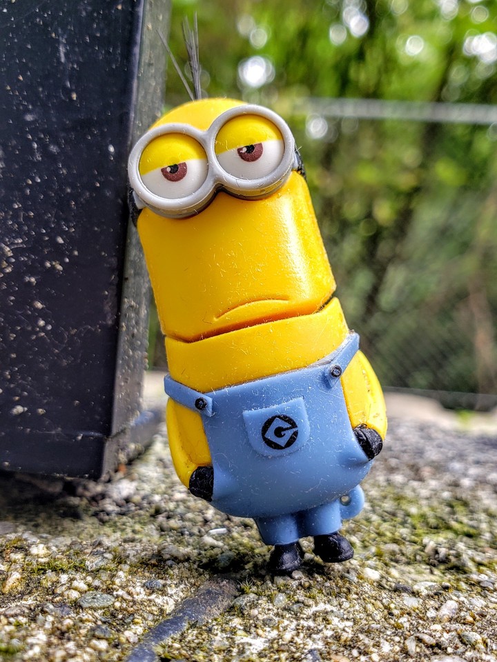 minions