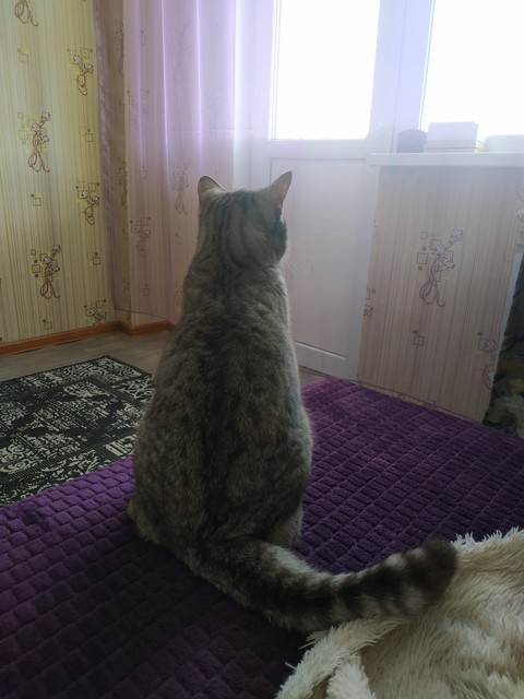 Джемик