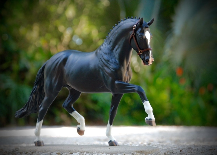My dream horse, but this is just a model of it❤️
