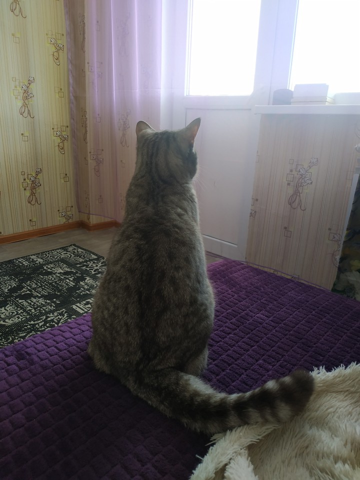 Джемик