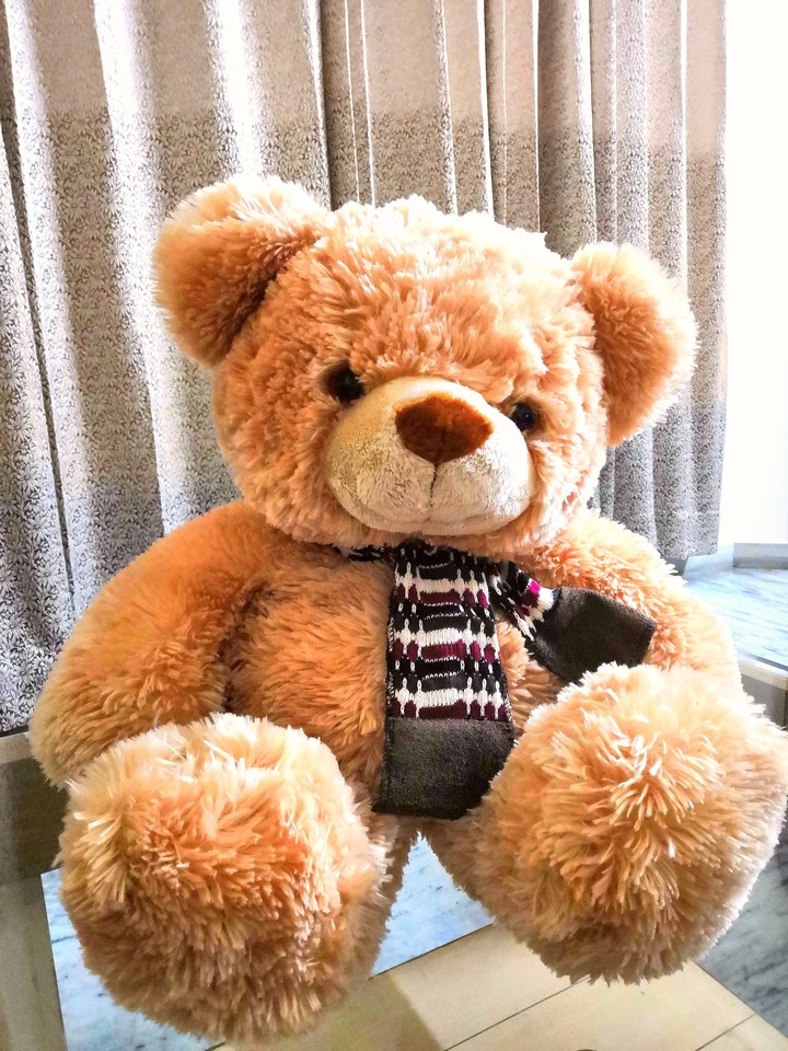 teddy