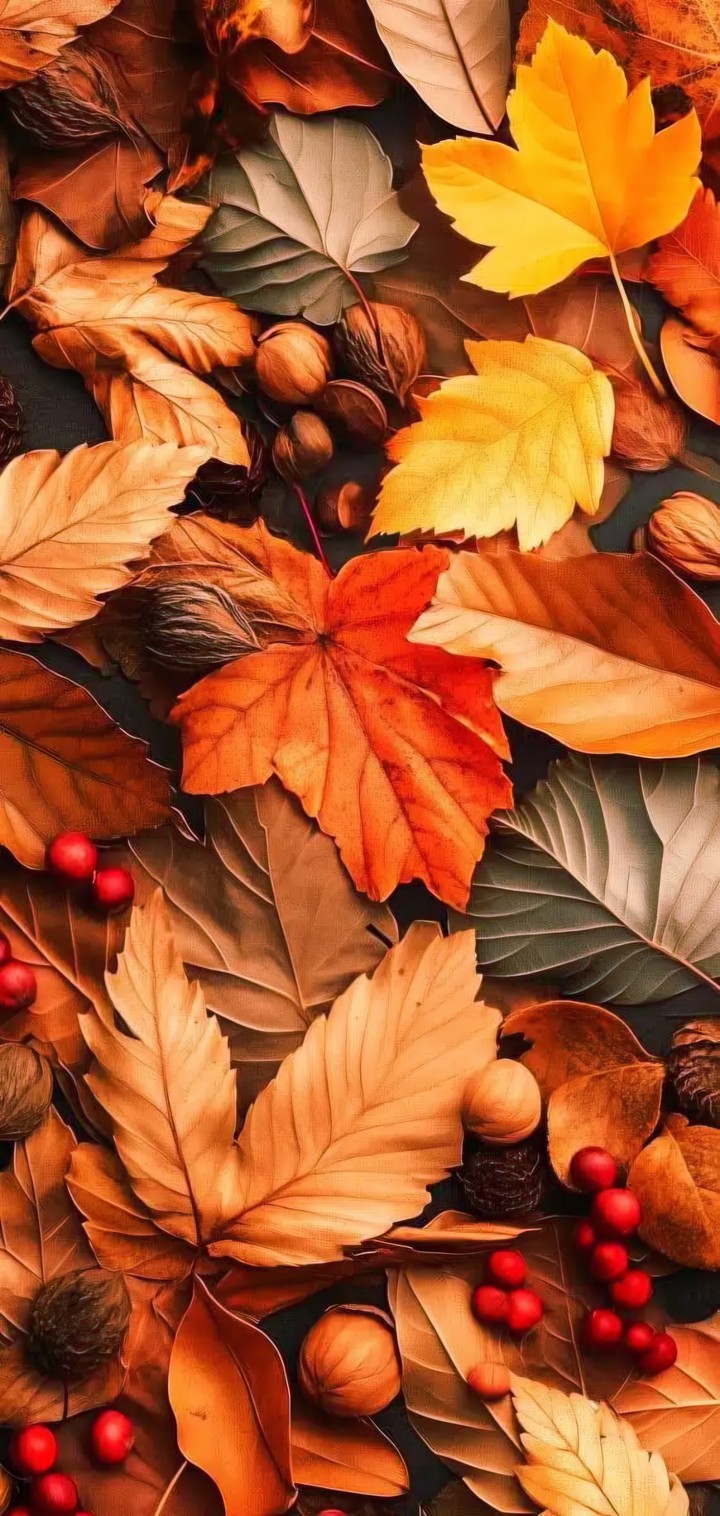 AUTUMN TREASURES