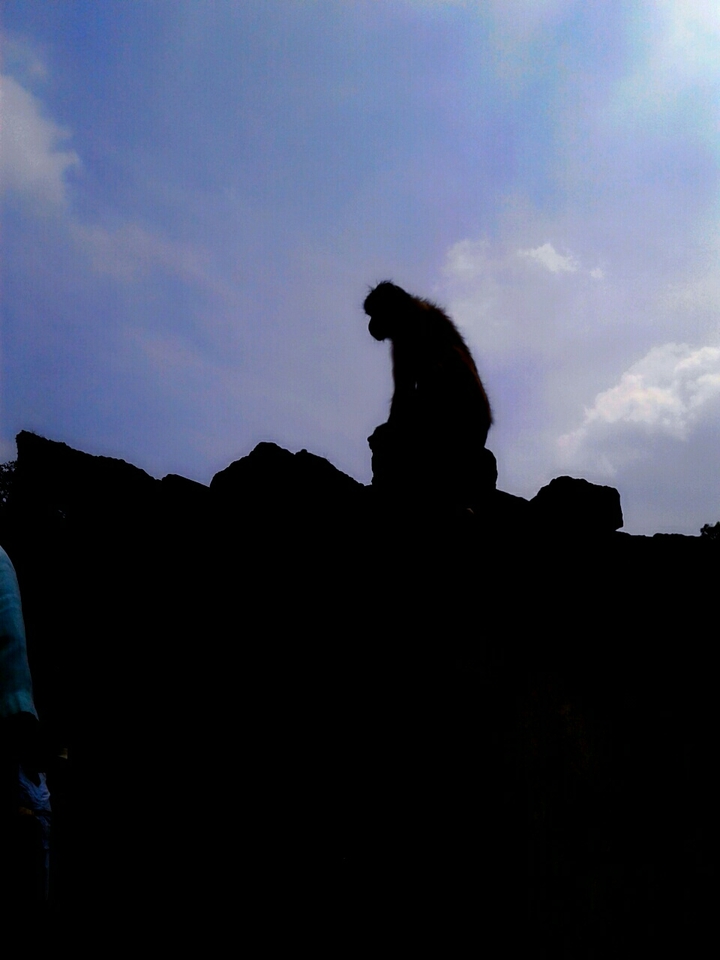 see the nature