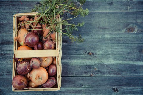 sfondi plant, foods