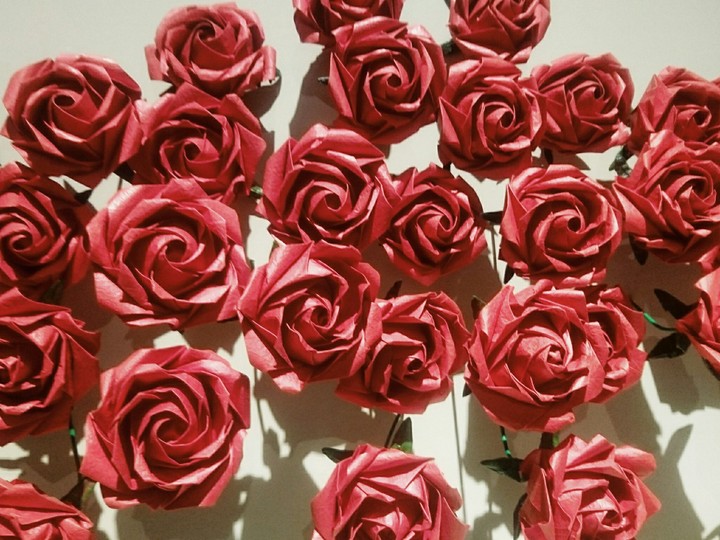 rose