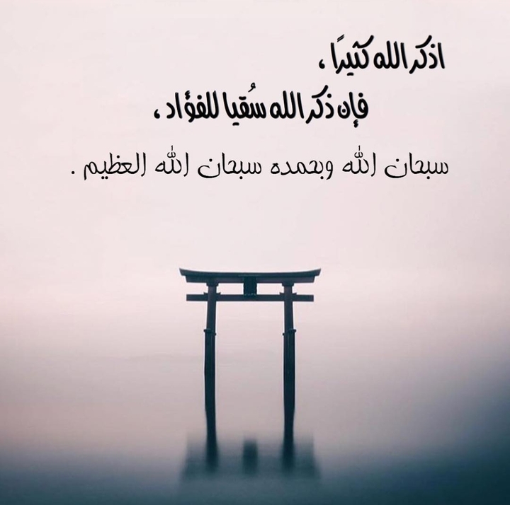 سبحان الله وبحمده ...سبحان الله العظيم