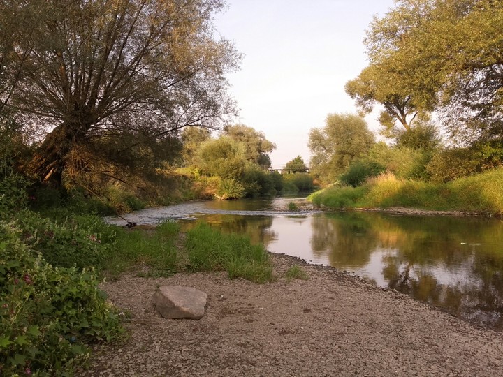 nature