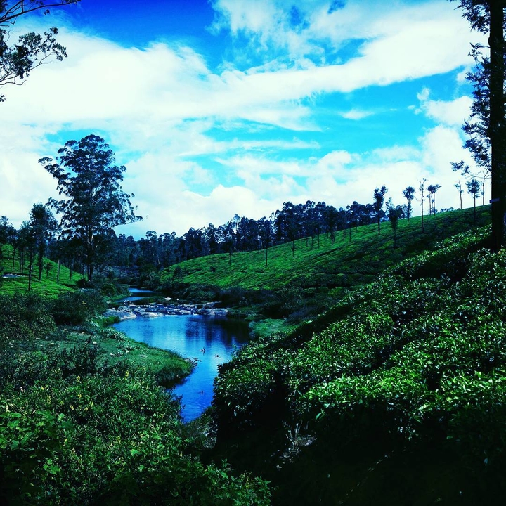 greenary