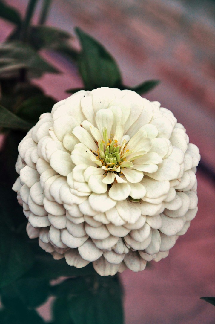 beauty in little things