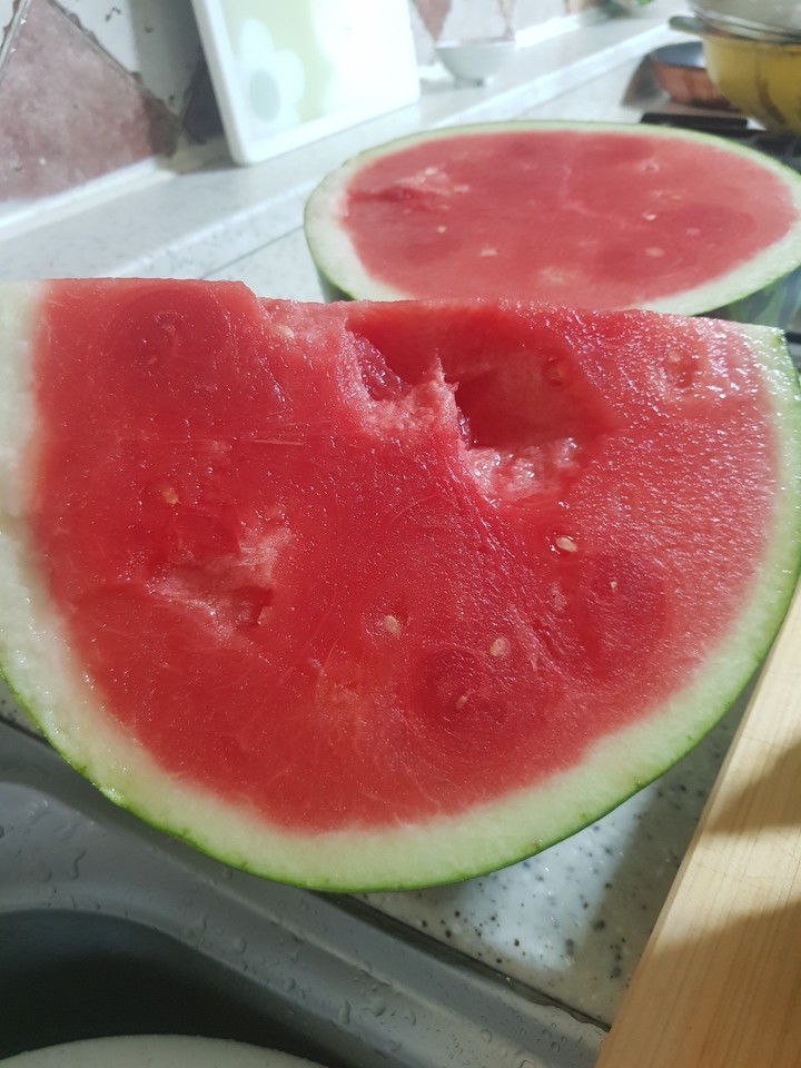 시원한 수박