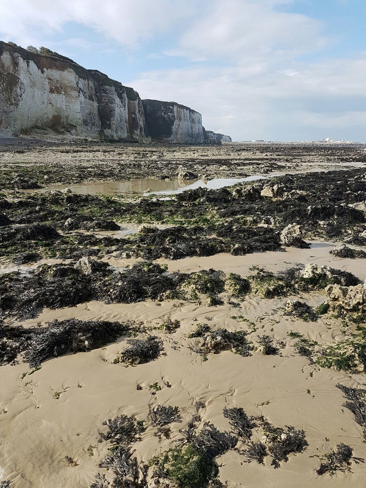 Dieppe