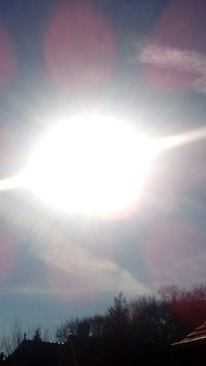 zon