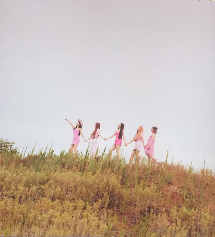 Red Velvet*