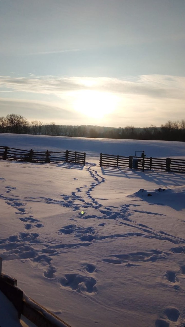 snowy morning
