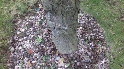 circle