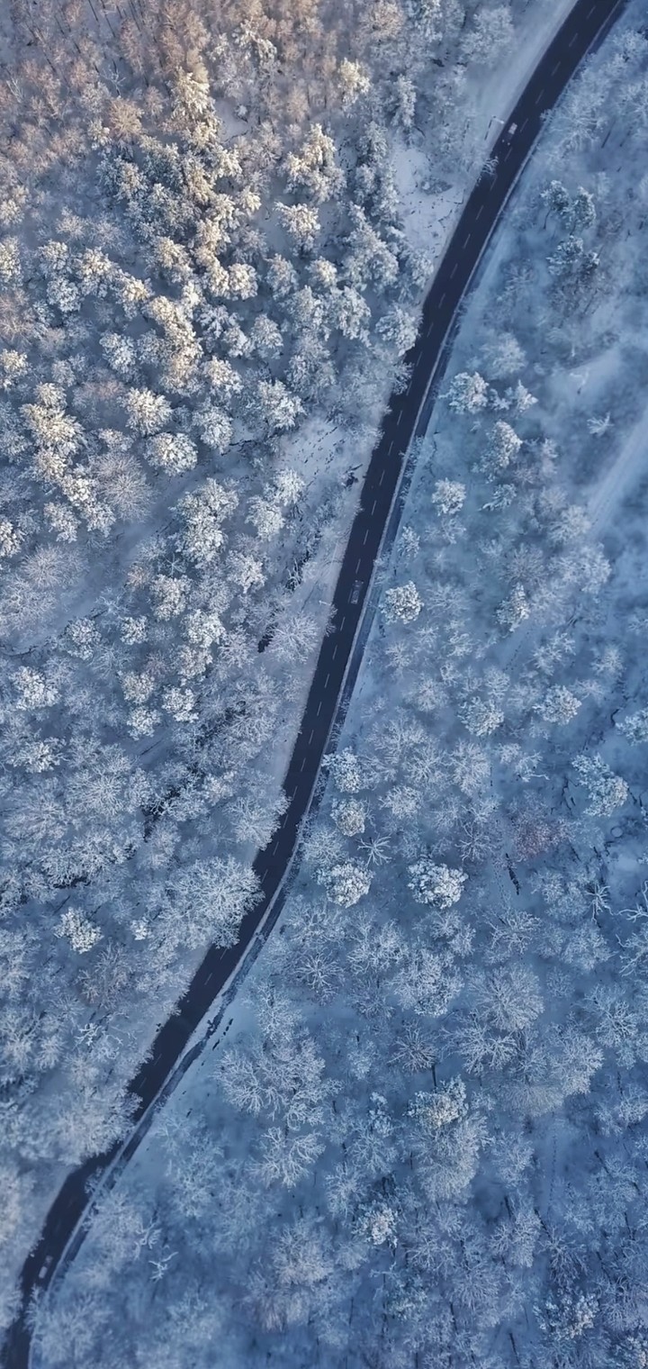 snow road, cooler