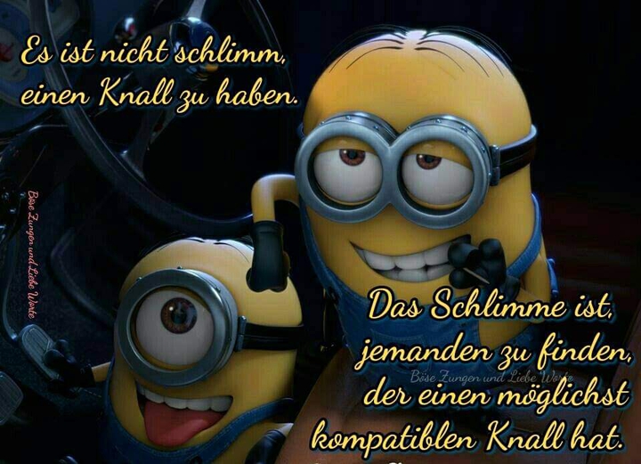 Pilze