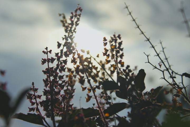Psy Photography