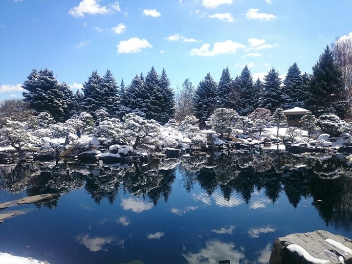 Japanese garden