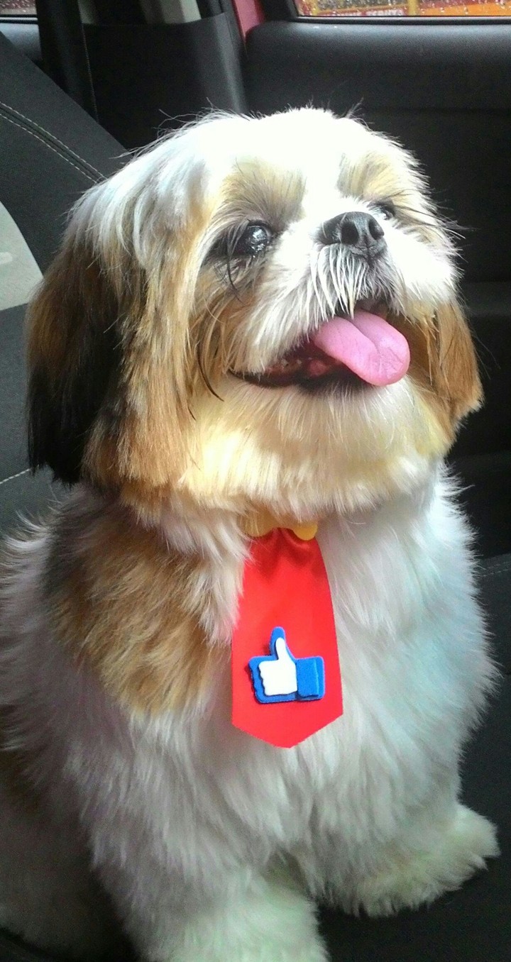 Boris