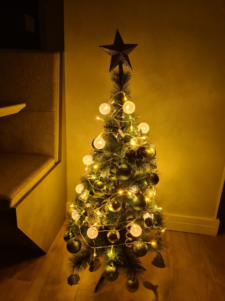 Árvore de Natal MHSR