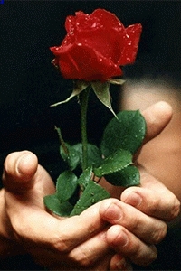 warda