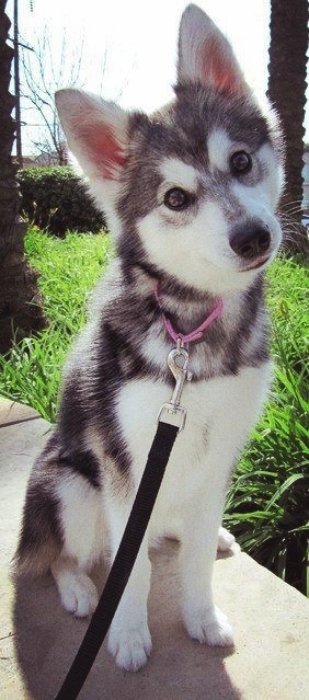 ❤