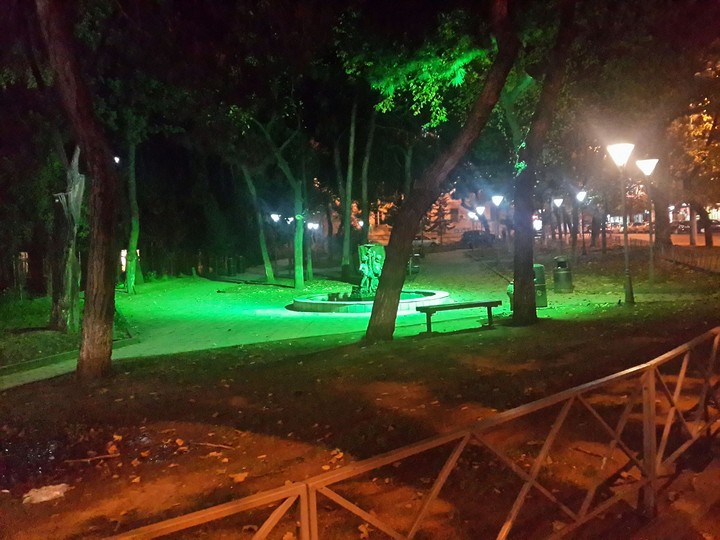 garden
