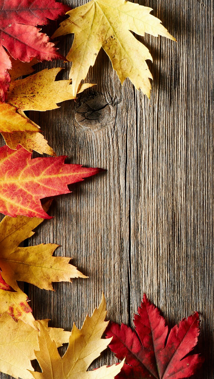 Autumn